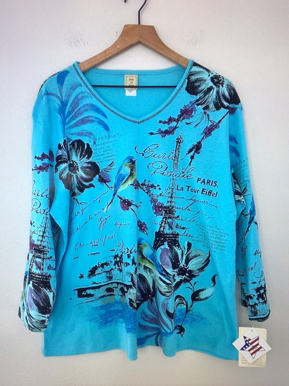 Jess&Jane Women's Turquoise Paris Print V-Neck Long-Sleeve Top